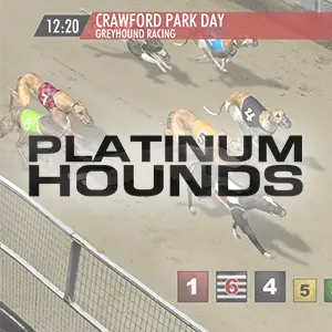 Apuesta virtual de carreras de caballos