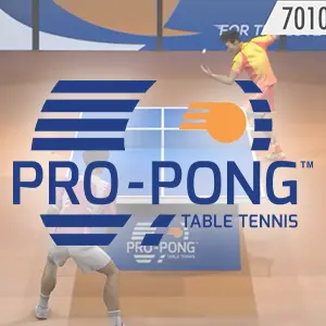 PingPong Virtual